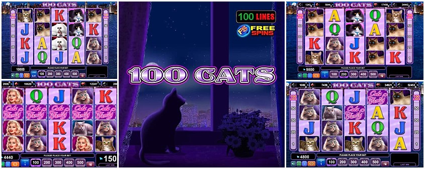 100 Cats играть онлайн