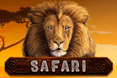 safari игровой автомат